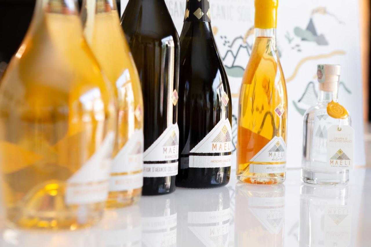 Bed and Breakfast Maeli Winery House Baone Экстерьер фото